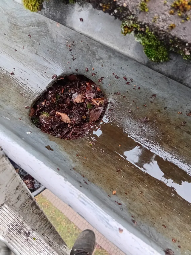 Laub und Schlamm stauen sich über dem Ablauf einer Dachrinne
