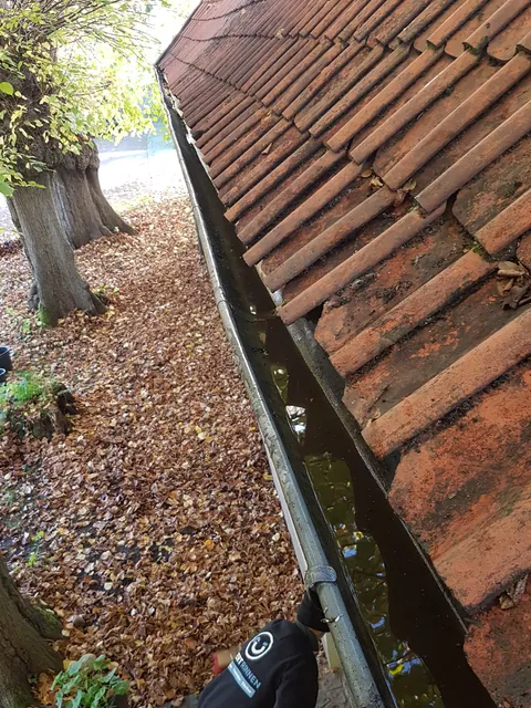 Einsatzfoto von ExpertRinnen: Blick aus der Dachrinne nach unten, ein Kollege steht am Boden neben dem Haus